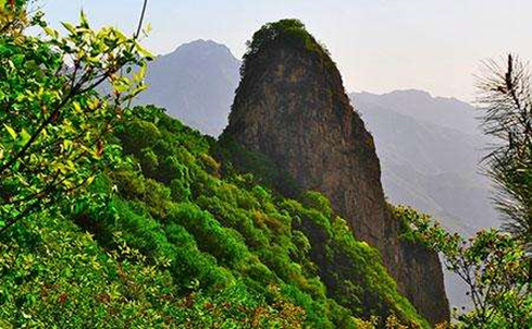 20210325/0a603f9c3451f4c27361e84ee42cfee2.png 20210325/0a603f9c3451f4c27361e84ee42cfee2.png