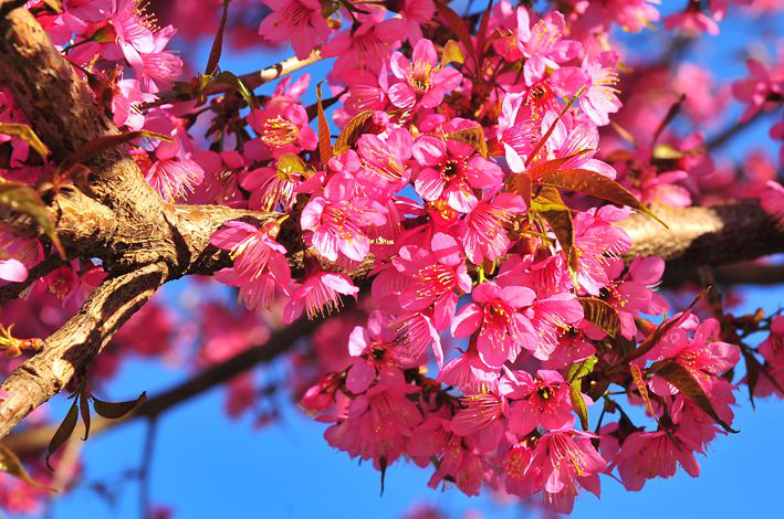 20210421/fb44638a0f3d8a2d15bdd0e1a365227f.png 20210421/fb44638a0f3d8a2d15bdd0e1a365227f.png