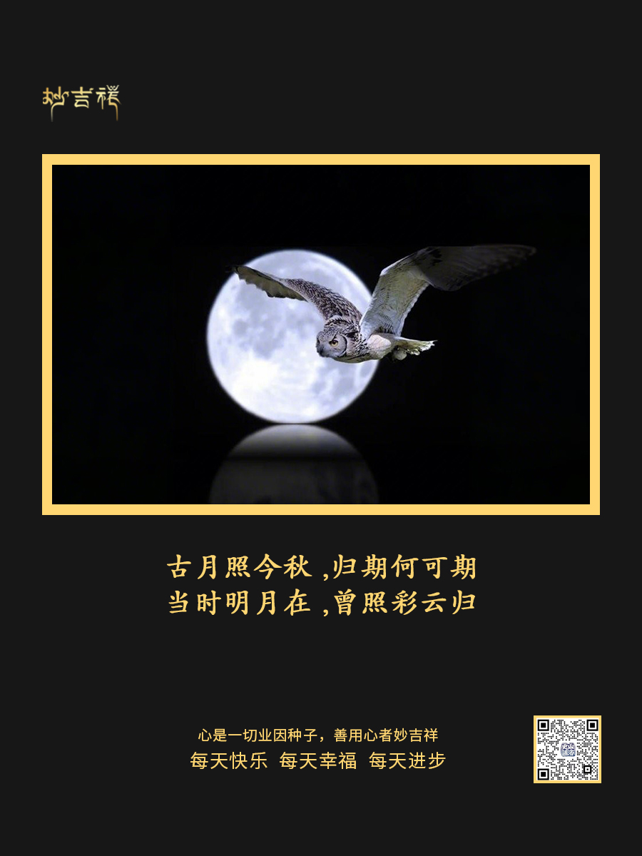 20241119/f761b5128247acc46916f738a0180bd4.jpg 20241119/f761b5128247acc46916f738a0180bd4.jpg